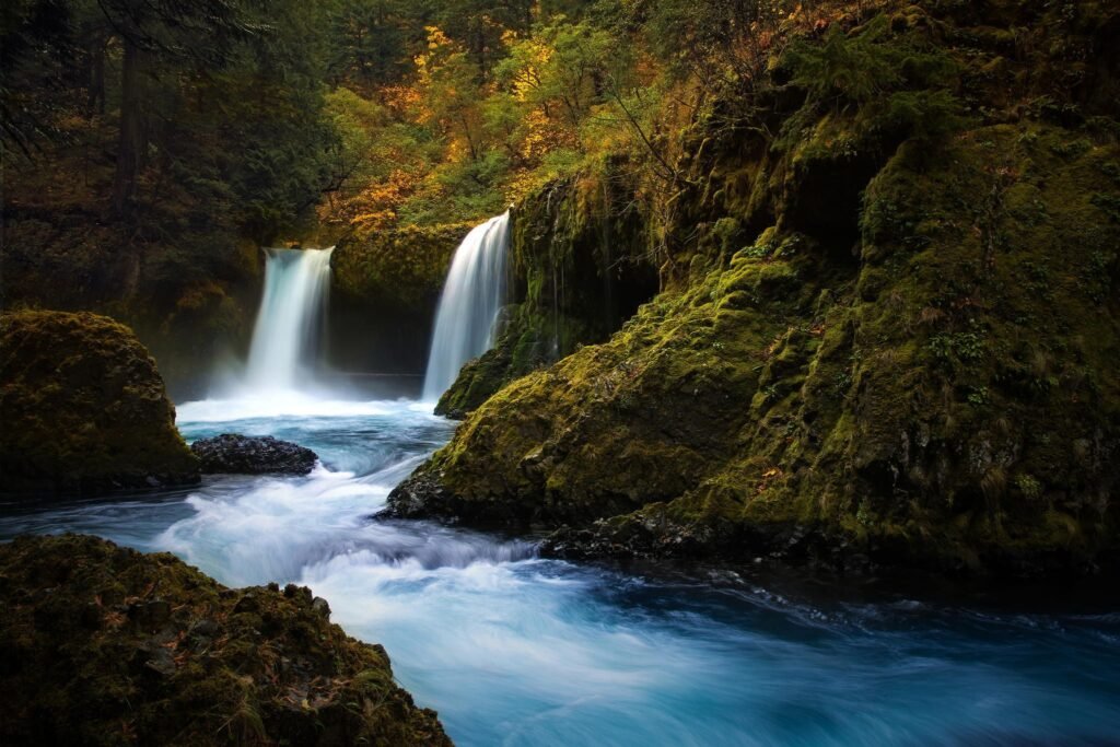 landscape-forest-waterfall-water-rock-nature-reflection-plants-moss-river-wilderness-stream-autumn-Rapid-wasserfall-body-of-water-water-feature-21169-3596585378