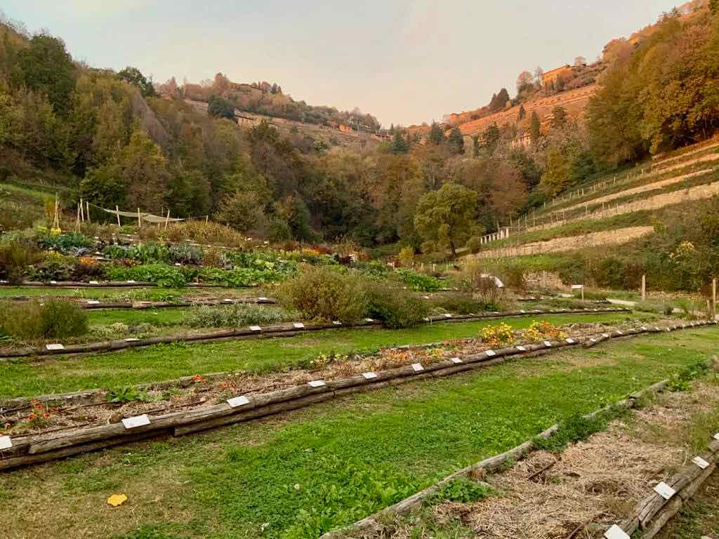 L’orto