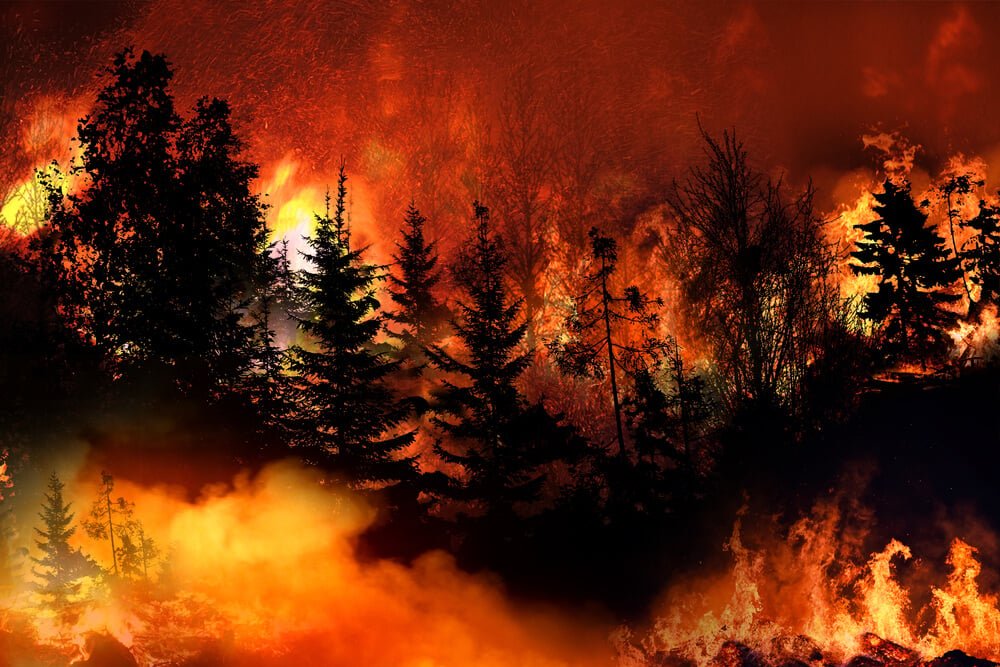 Guerra ambientale con armi incendiarie